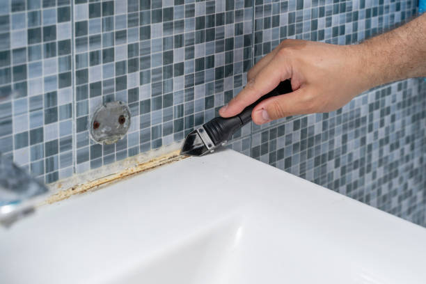 Best Attic Mold Removal  in Casa Grande, AZ